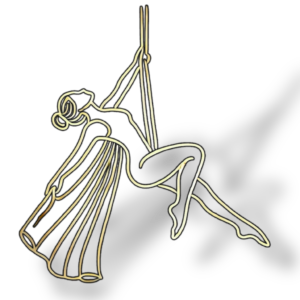 Aerial Silks